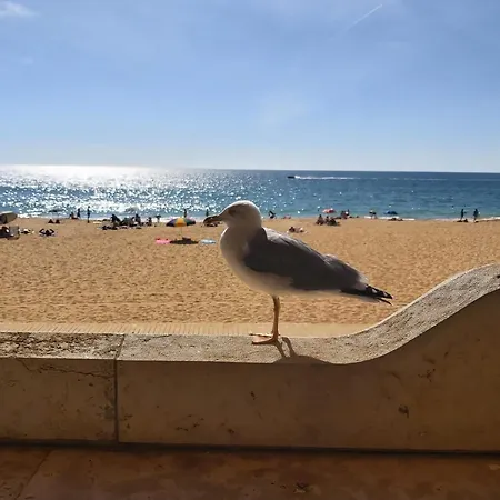 度假居 - Casa Balaia *