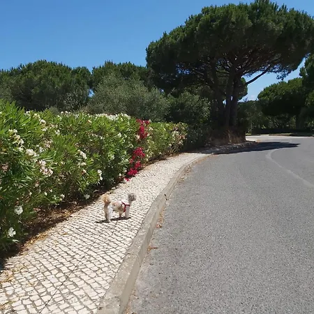- Casa Balaia Holiday home