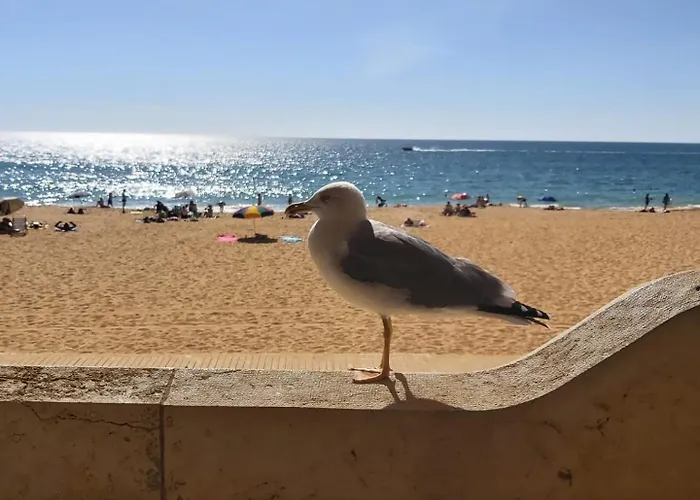 Feriehus - Casa Balaia *