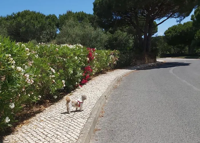 - Casa Balaia 別荘